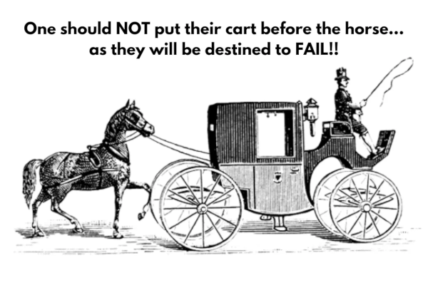 cart before the horse small.png